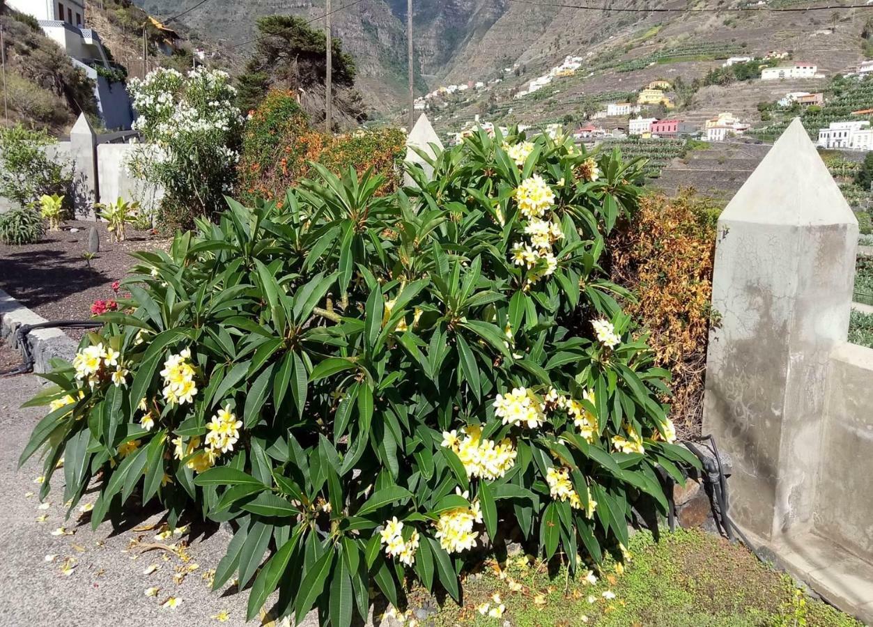 Gomera Garden. Vista Mar Altozano Ермигуа Екстериор снимка